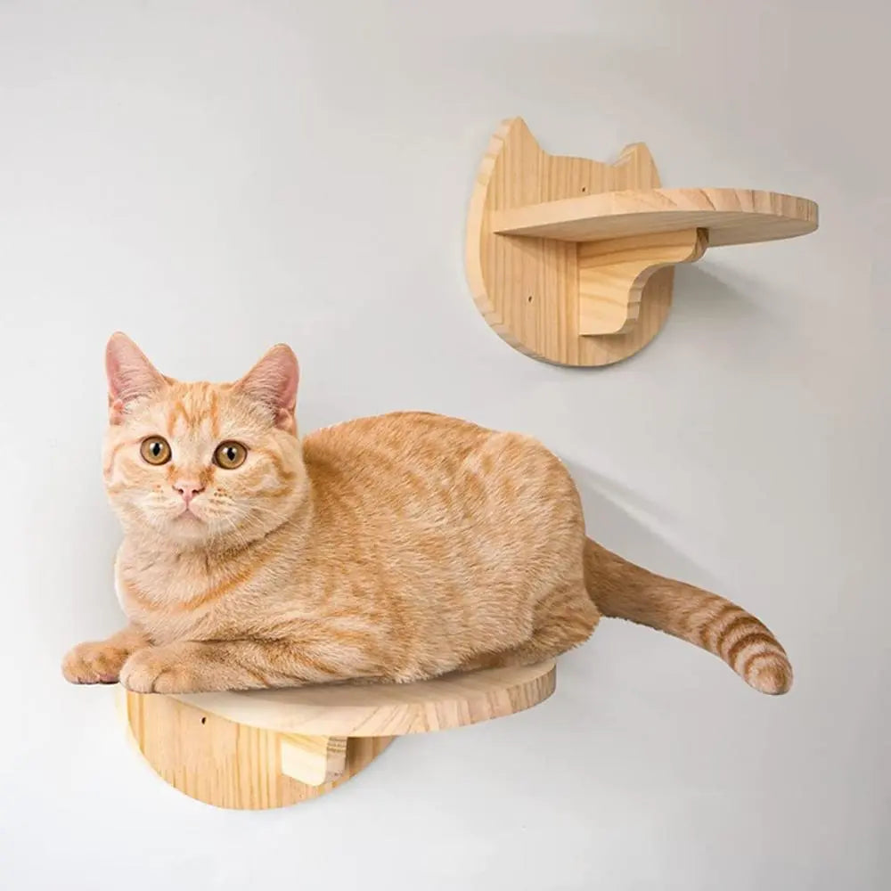 Cat Climbing Wall Mounted Hammock Scratching Post for Cat Wooden Furniture Ladder Steps Cats Sleeping and Playing